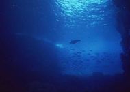 海底世界 136