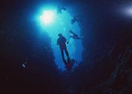 海底世界 46
