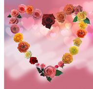 情人节心形玫瑰花框图片