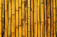 排列整齐的竹杆背景图片