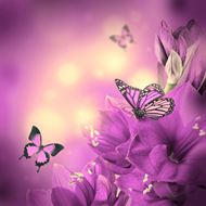 唯美紫色鲜花蝴蝶图片