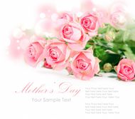 母亲节玫瑰花图片