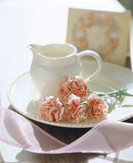 康乃馨茶杯高清图片