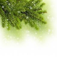 绿色圣诞树背景图片