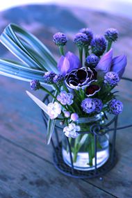 紫色花朵唯美图片