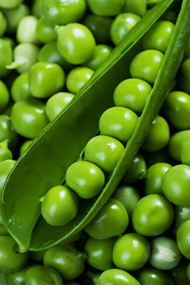 绿色豌豆高清图片