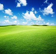 绿色大草原风景图片