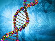 高清DNA基因图片