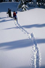 高清冬季滑雪图片