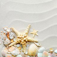 高清贝壳艺术图片