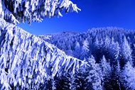 高清雪景图片