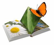 自然植物书本图片