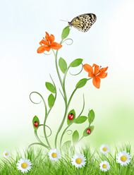 植物花草艺术背景图片