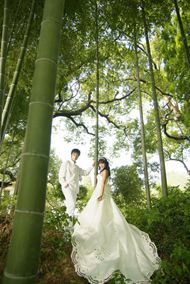 竹林情侣婚纱照图片