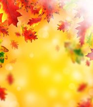高清秋季背景图片