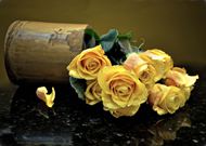 高清黄色玫瑰花图片