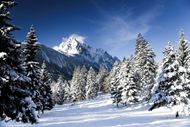 高清雪景素材图片