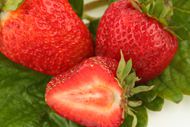 高清草莓素材图片