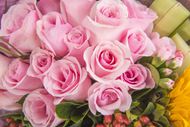 粉色香槟玫瑰花束图片