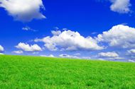 草地天空风景图片
