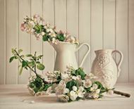 陶瓷花瓶与花枝图片