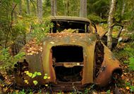 树林里废弃的汽车图片