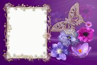 蝴蝶相框素材图片