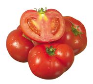 西红柿素材图片
