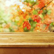 秋天枫叶与木纹桌面图片