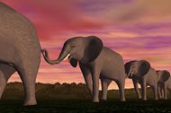 大象3D创意设计图片