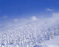 日本雪地风光图片