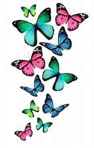 唯美彩色蝴蝶图片
