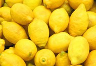 成熟的黄色柠檬图片