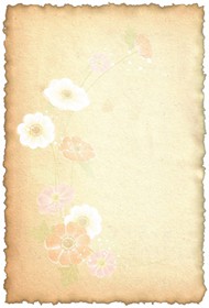 复古淡雅花卉背景图片