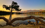 平静的湖泊黄昏美景图片