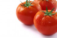 湿漉漉的番茄图片