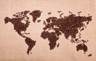 咖啡豆组成的世界版图