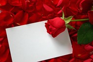 情人节玫瑰卡片图片