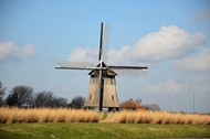 草地荷兰风车图片