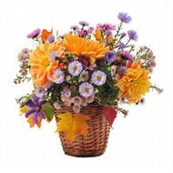 篮子里的鲜艳花朵图片
