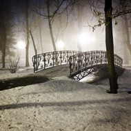 冬天公园小桥树木风景图片
