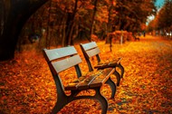 秋天公园风景图片