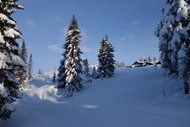 挪威雪景图片