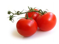 转基因番茄图片