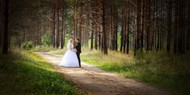 树林婚纱照图片