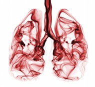吸烟者的肺图片素材