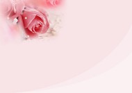 玫瑰花底纹背景图片