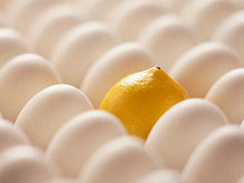 鸡蛋中的柠檬图片素材