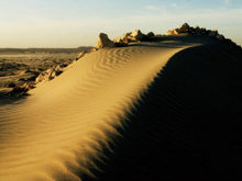 热带沙漠高清图片