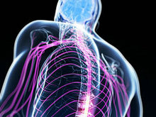 颈椎身体器官X光片高清图片